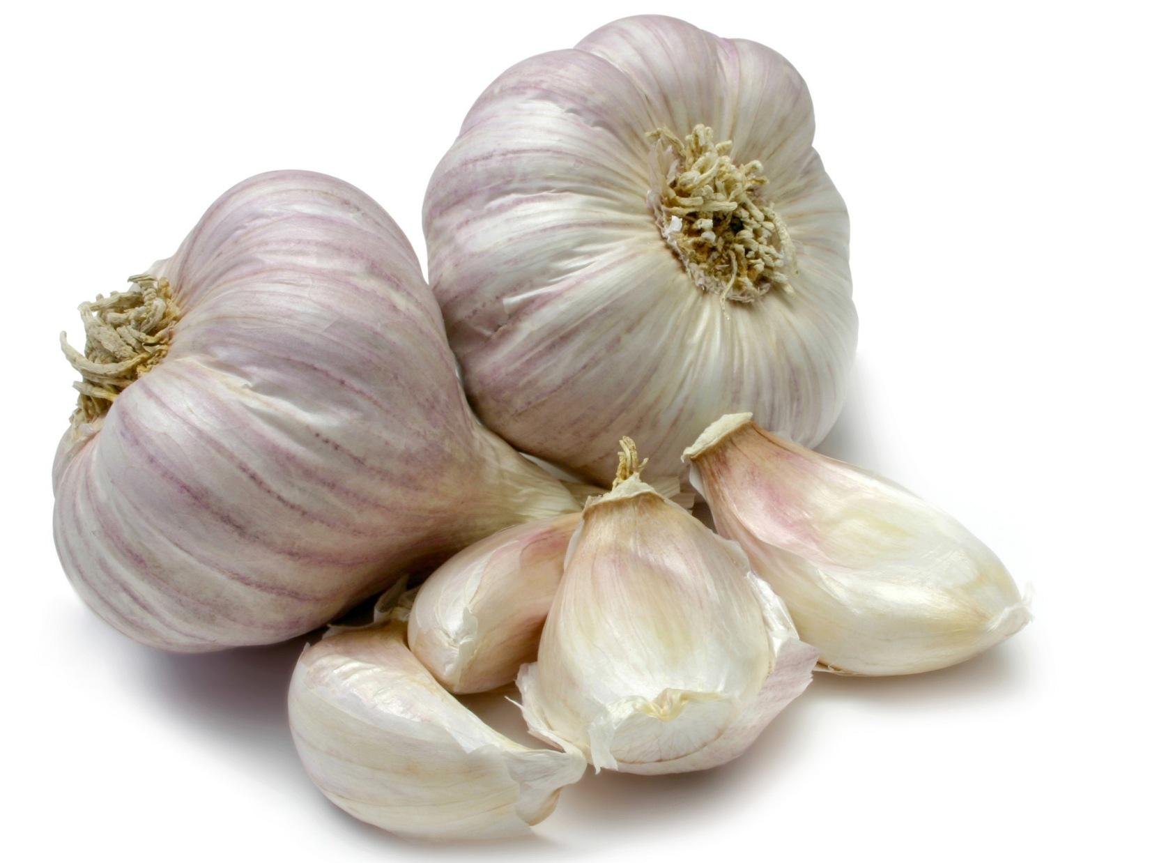 Garlic Powder - Image 2