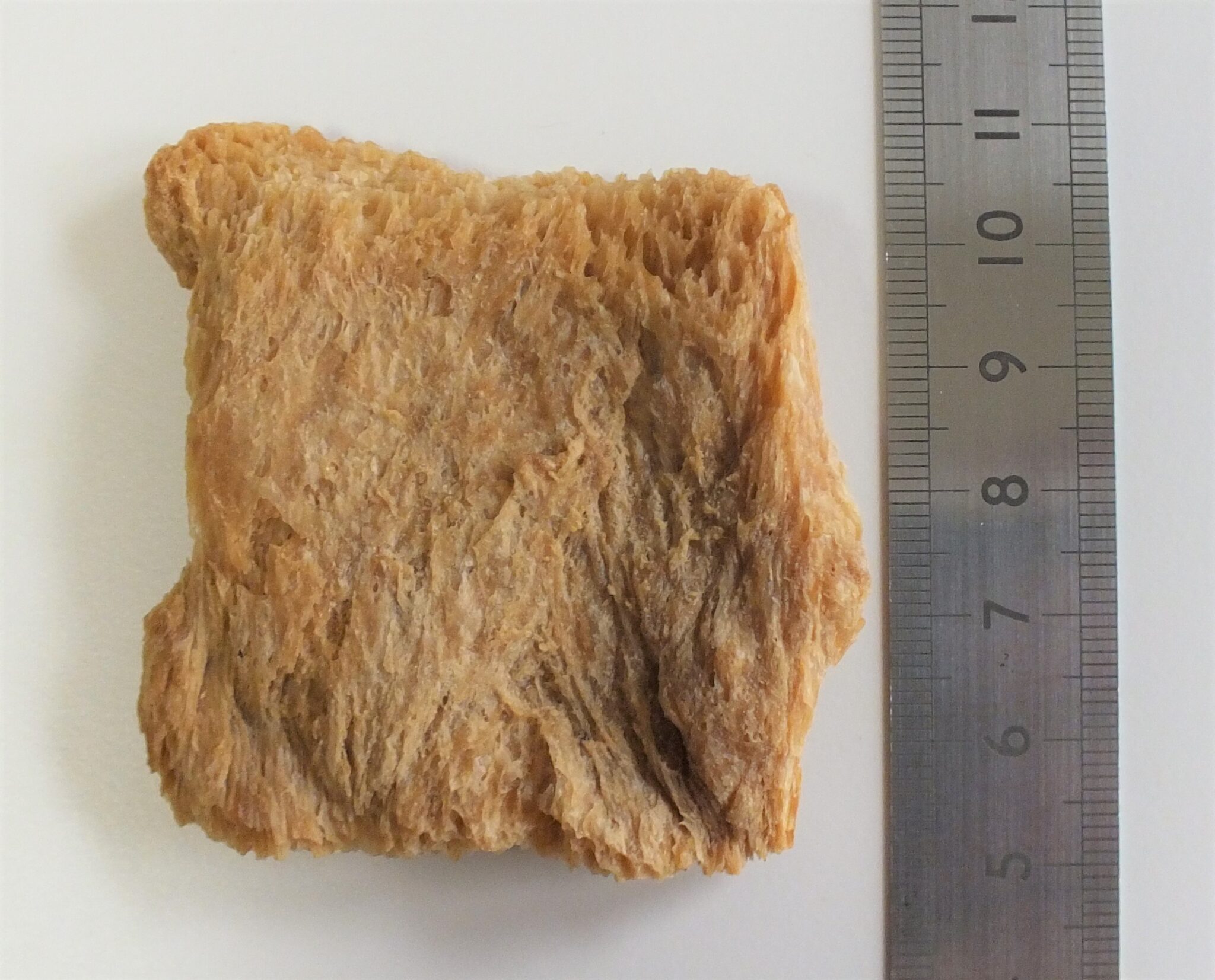 Textured Vegetable Protein Plain Slices (TVP) - Image 4