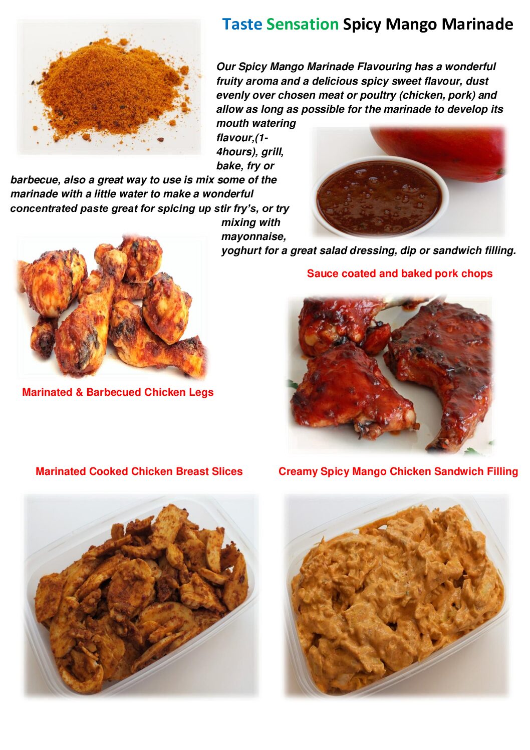 Spicy Mango Marinade Flavouring - Image 9