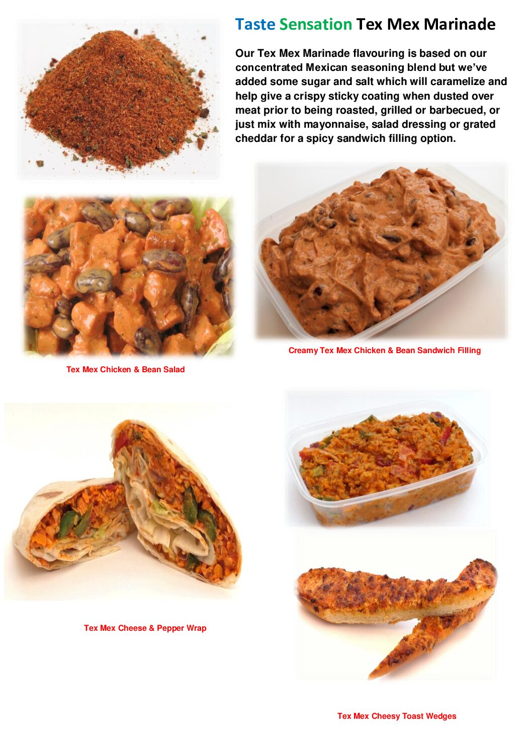 Tex Mex Marinade Flavouring - Image 9
